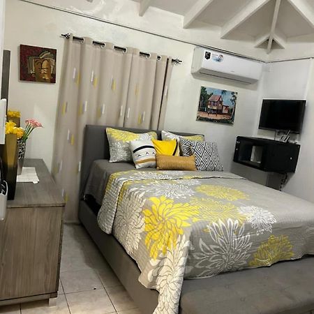 Beautiful Vacation Home オーチョ・リオス エクステリア 写真